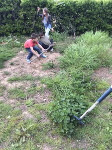 Evolution De Mon Potager Amateur En Deux Ans