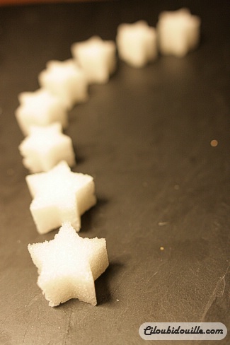 Fabriquer du sucre en morceau - Ciloubidouille