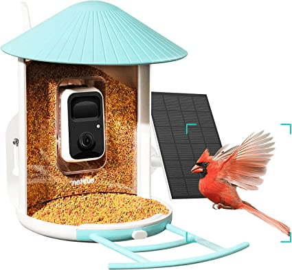 Mangeoire À Oiseaux Alimentée Par Énergie Solaire Avec Caméra